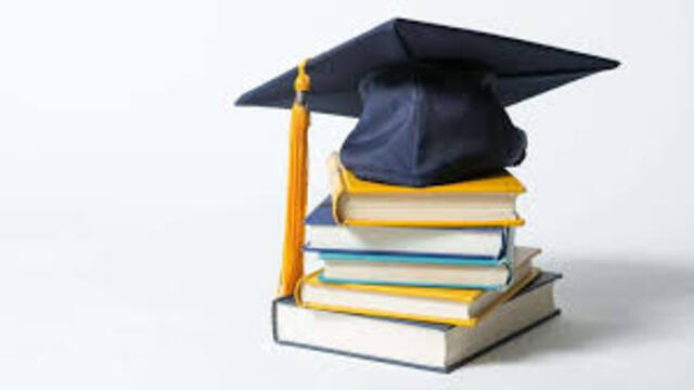 Peran Akademik dan Non-Akademik