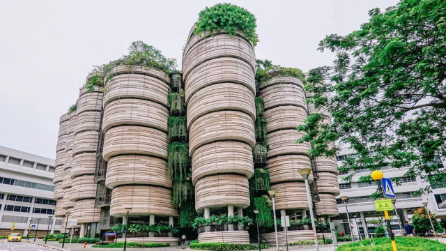 Cara Daftar Nanyang Technological University Singapore Dengan Benar, Kalian Mau Coba